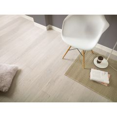 Dąb Cappuccino grande