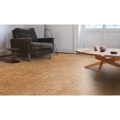 Accent Originals panel lakier Xtreme WRT Wicanders