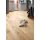 Pure Brzoza Natur 8540002 Tarkett