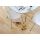 Jesion Natur 7965008 Tarkett