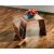 Orzech 8577003 SALSA lakier mat TARKETT