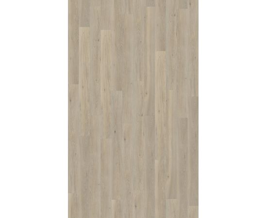 Dąb Naturalny Long Island LPU1661 Largo Quick Step