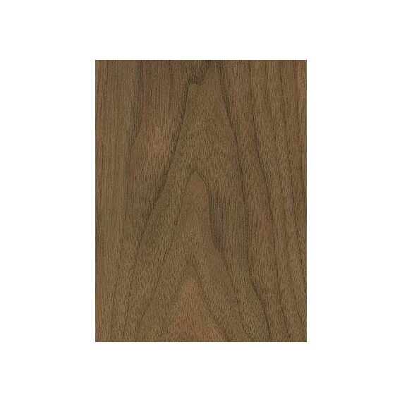 LS58
