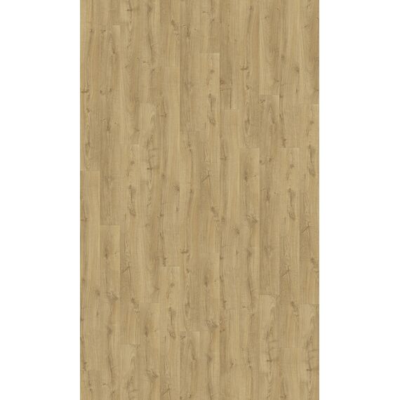 Dąb Naturalny Cambridge LPU1662 Largo Quick Step